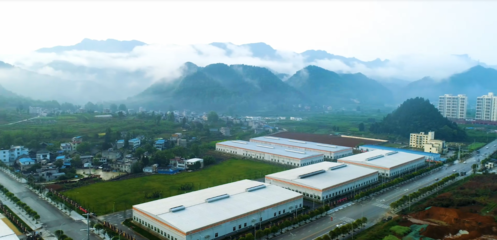 &ldquo;抹茶之都&rdquo;銅仁貴茶順利通過雨林聯(lián)盟等國(guó)際認(rèn)證