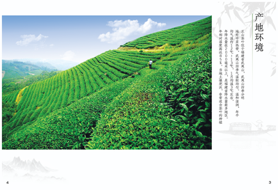 正山堂茶業(yè)宣傳畫(huà)冊(cè)